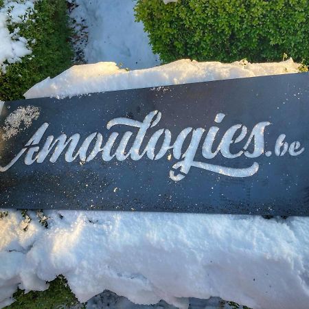 Villa Amoulogies Amougies Eksteriør billede